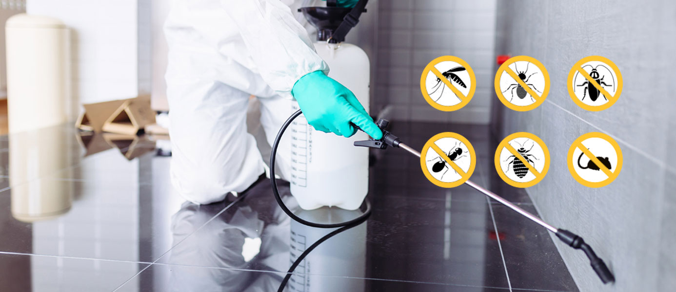 Pest Control Melbourne